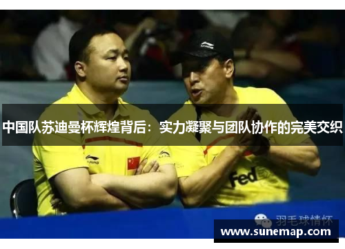 中国队苏迪曼杯辉煌背后：实力凝聚与团队协作的完美交织
